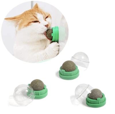 MARBEN BOLA DE HIERBA GATERA PARA GATO