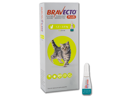 BRAVECTO PLUS PIPETA GATO 1.2-2.8 KG