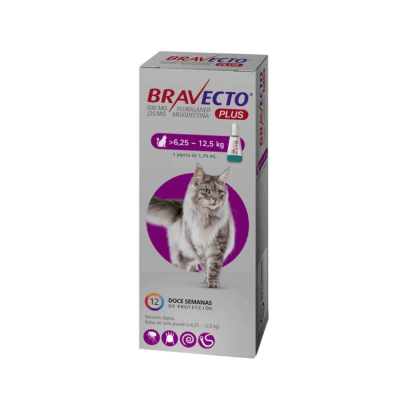 BRAVECTO PLUS PIPETA GATO