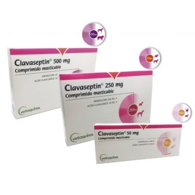 CLAVASEPTIN COMP. MASTICABLE