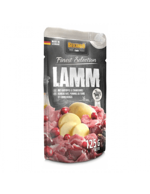 BELCANDO SOBRE CON ARANDANO 125 GR1