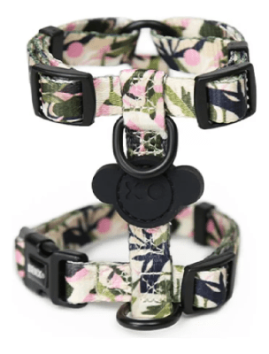 BRNX ARNES 