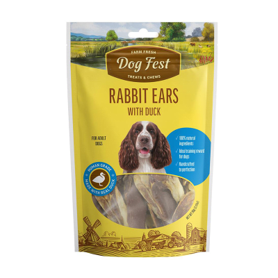 DOG FEST SNACK PERRO