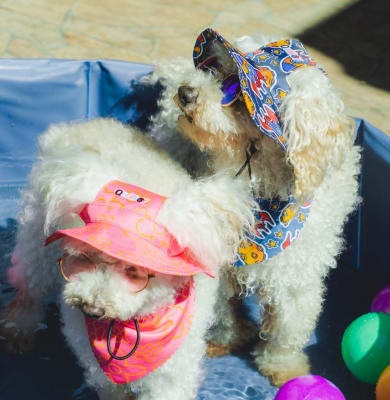 QUATRO7 GORRO BUCKET