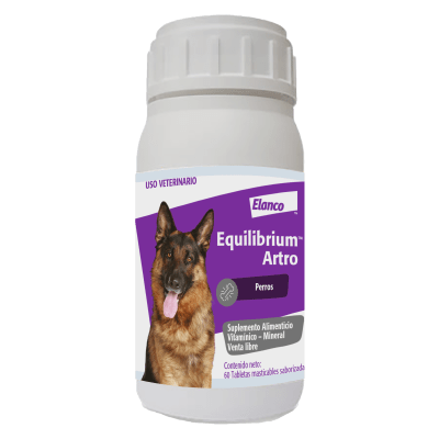 EQUILIBRIUM ARTRO1