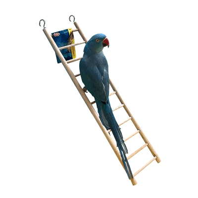 LIVING WORLD ESCALA DE MADERA1