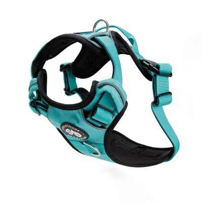 STREET DOGS ARNES COMFORT TURQUESE