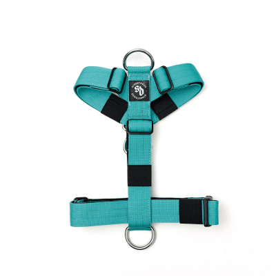 STREET DOGS ARNES STRAP TURQUESE1