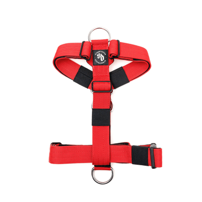 STREET DOGS ARNES STRAP RED1
