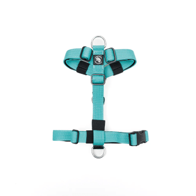 STREET DOGS ARNES MINI STRAP TURQUESA TALLA S1