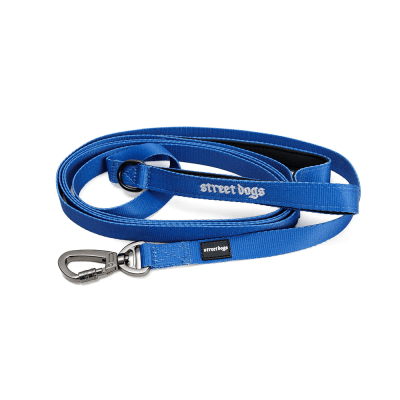 STREET DOGS CORREA ADIESTRAMIENTO BLUE 3 METROS