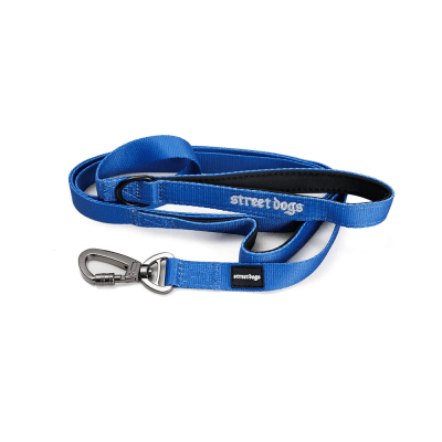 STREET DOGS CORREA ADIESTRAMIENTO BLUE 1,8 METROS