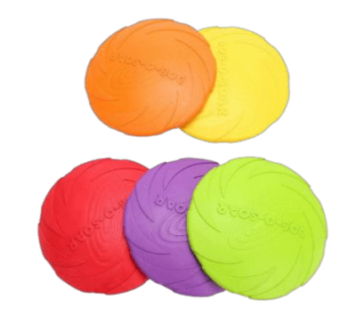 WARRIOR FRISBEE PERRO1