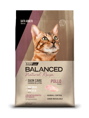 VITALCAN BALANCED GATO NATURAL RECIPE POLLO
