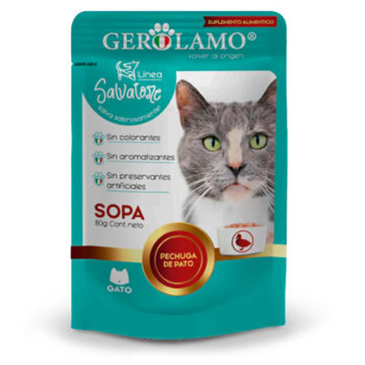 GEROLAMO SALVATORE