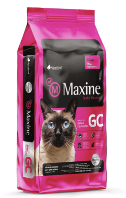 MAXINE GATO CASTRADO