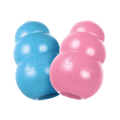 KONG PUPPY1