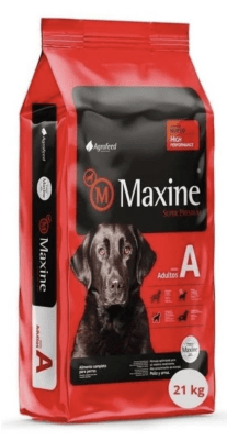 MAXINE PERRO ADULTO