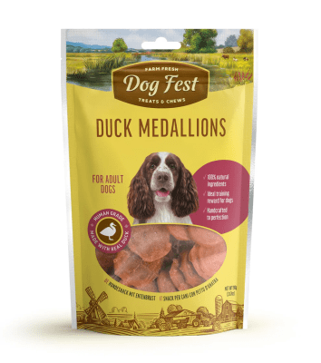 DOG FEST PERRO TRAINING