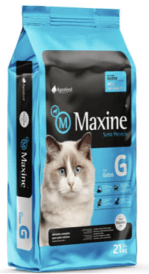 MAXINE GATO1