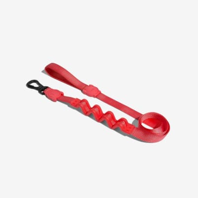 ZEEDOG CORAL RUFF CORREA