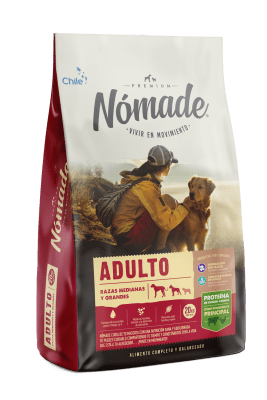 NOMADE ADULTO PERRO