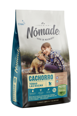 NÓMADE CACHORRO
