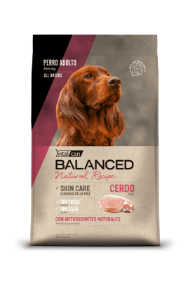 VITALCAN BALANCED PERRO NATURAL RECIPE CERDO