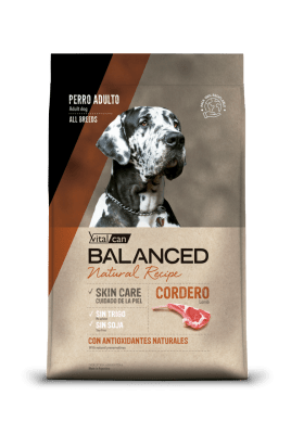 VITALCAN BALANCED PERRO NATURAL RECIPE CORDERO