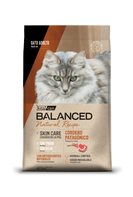 VITALCAN BALANCED GATO NATURAL RECIPE CORDERO