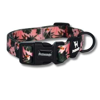 PETLOUNGE Collar de Perro