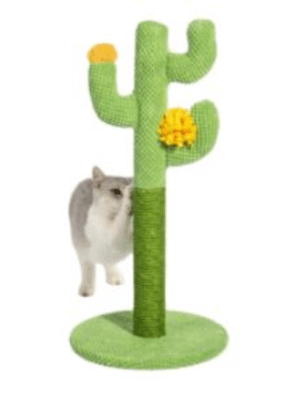 MARBEN RASCADOR EN FORMA DE CACTUS 30*60CM