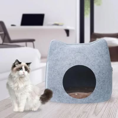 MARBEN REFUGIO FELINO COLORES