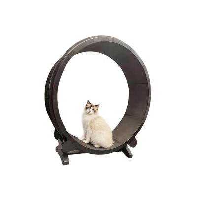 RUEDA DE EJERCICIOS PARA GATOS1
