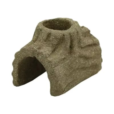 TIMOTHY SNACK TRONCO