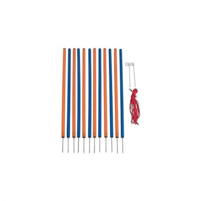 PAWISE VARAS AGILITY DE ENTRENAMIENTO1