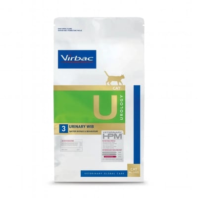 CAT UROLOGY URINARY WIB