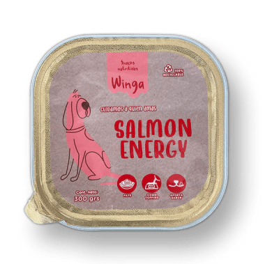 WINGA PATÉ SALMON ENERGY 300 GR