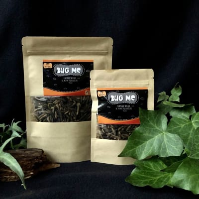 BUG ME Larvas secas