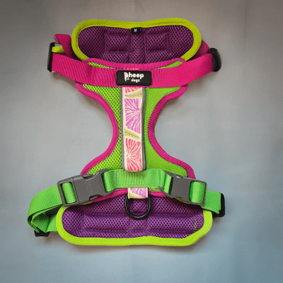 SHEEPDOGZ ARNÉS PUELO - DOCA1