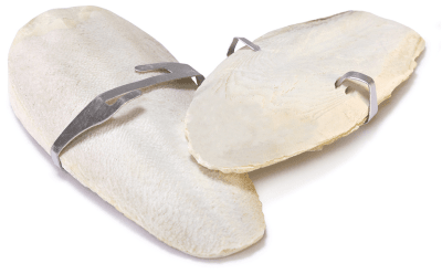 MARBEN PETS HUESO DE JIBIA PARA AVES (FUENTE DE CALCIO Y MINERALES)2