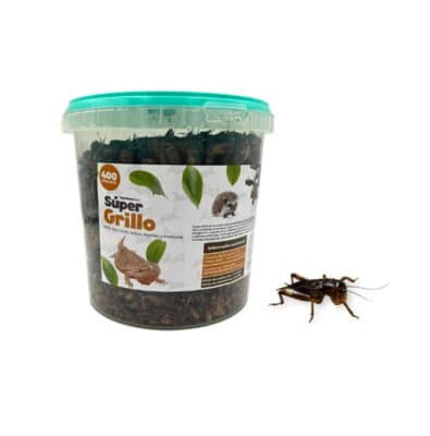 MARBEN SUPER GRILLO