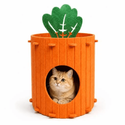 CASA ZANAHORIA GATOS