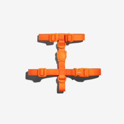 ZEE.DOG NEOPRO TANGERINE H-HARNESS1