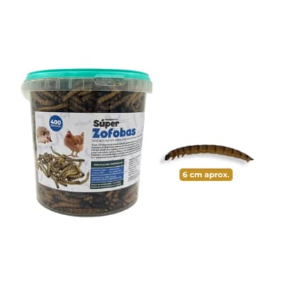 MARBEN SUPER ZOFOBAS