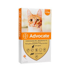 ADVOCATE PIPETA GATO