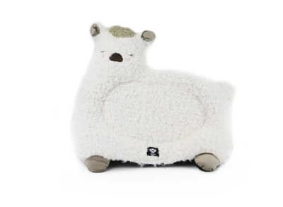 CAMA LLAMA