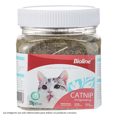 FRASCO CATNIP BIOLINE