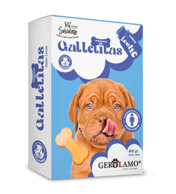 GEROLAMO GALLETA PERRO CACHORRO SABOR LECHE