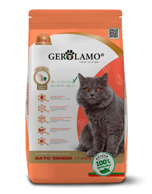 GEROLAMO GATO SENIOR